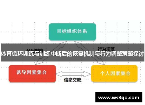 体育循环训练与训练中断后的恢复机制与行为调整策略探讨