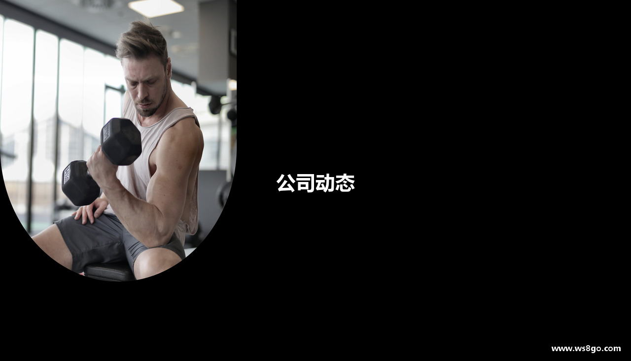 公司动态